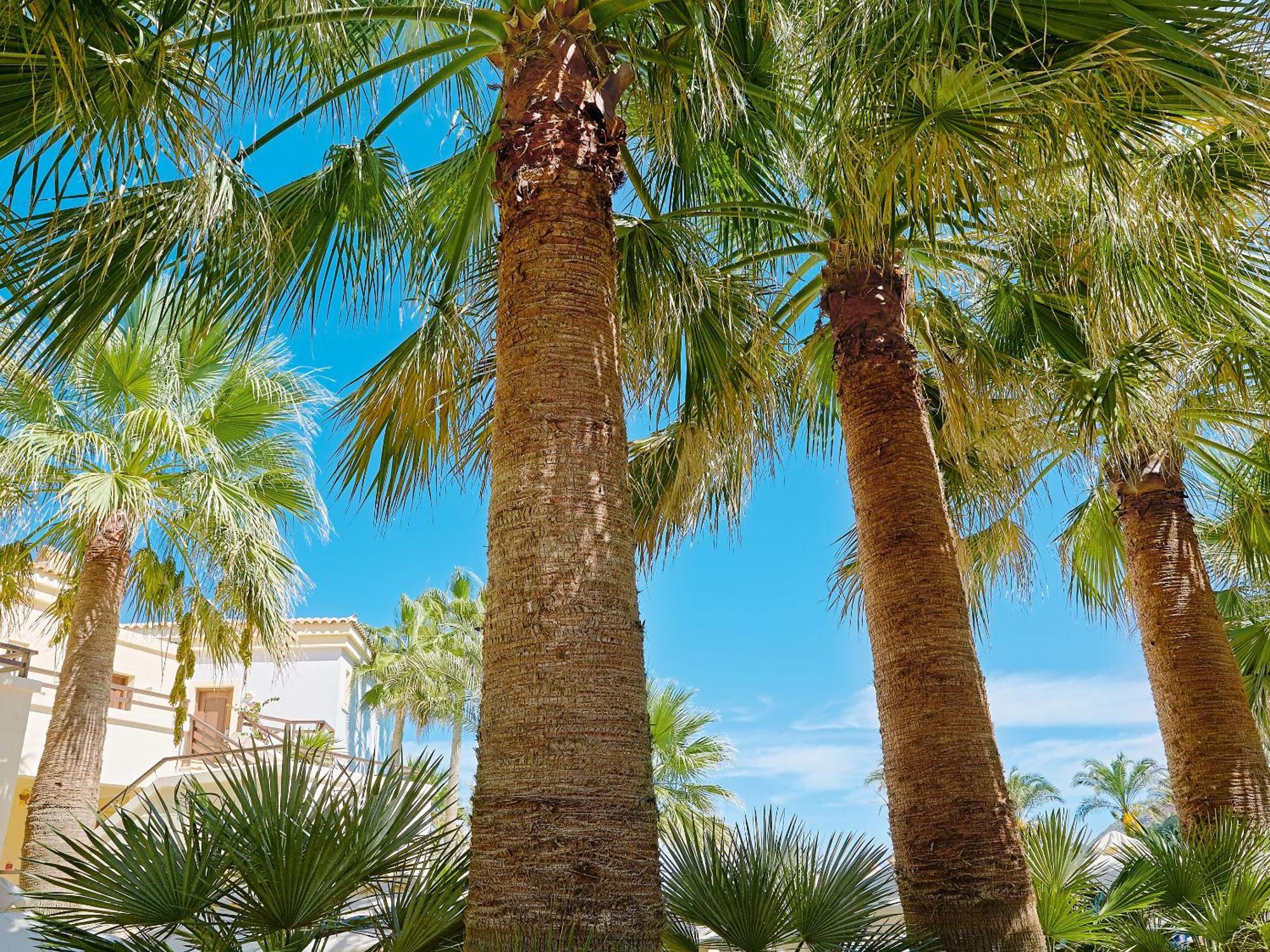 Grecotel Marine Palace & Aqua Park レティムノ エクステリア 写真